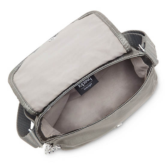 Kipling Sabian Metallic Crossbody Mini Tassen Grijs | België 1868WN